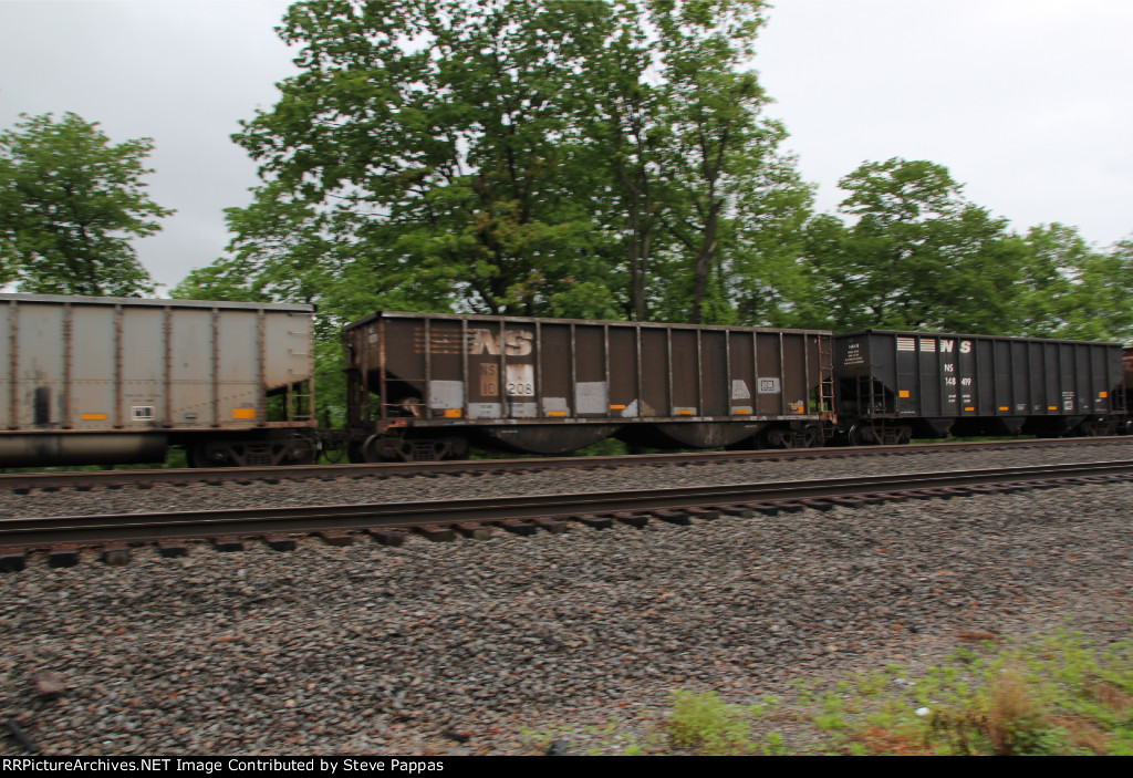 NS 10208